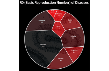 R0 (Basic Reproduction Number) of Diseases