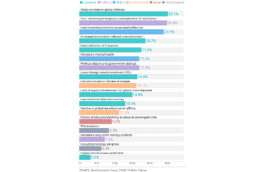Global Risks and Their Impact Percentages
